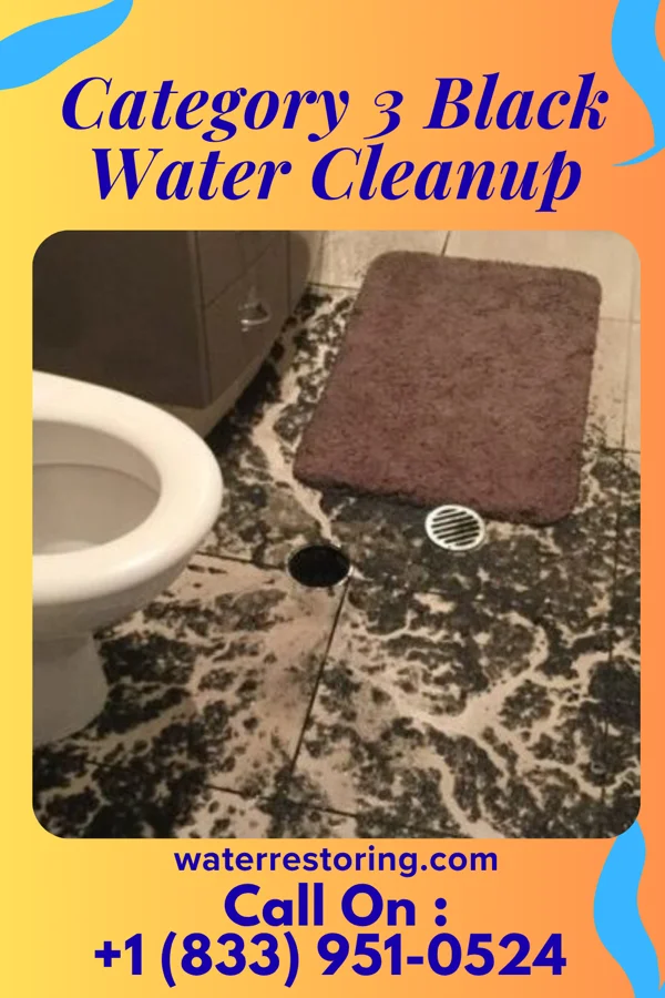 Category 3 Black Water Cleanup in Andover, SD